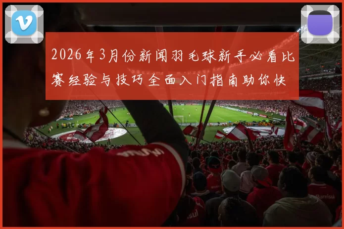2026年3月份新闻羽毛球新手必看比赛经验与技巧全面入门指南助你快速提升水平