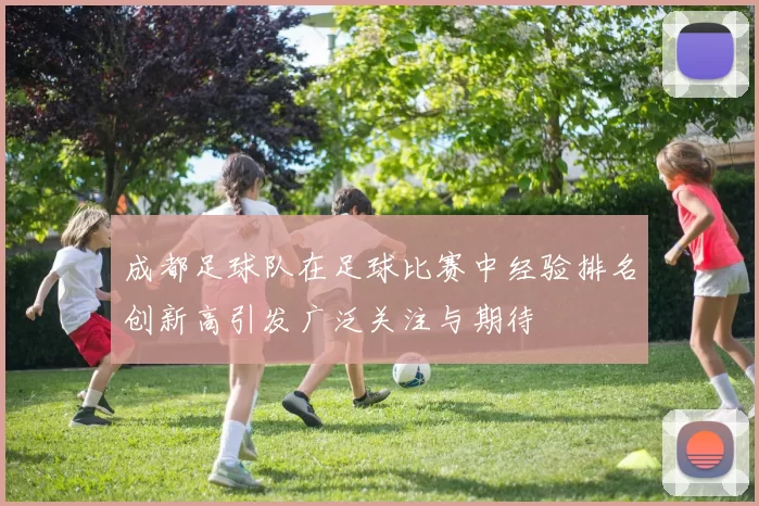 成都足球队在足球比赛中经验排名创新高引发广泛关注与期待