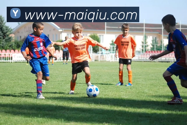 App Interface Preview